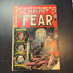 Haunt Of Fear #22 1953 Pre Code EC Horror GD
