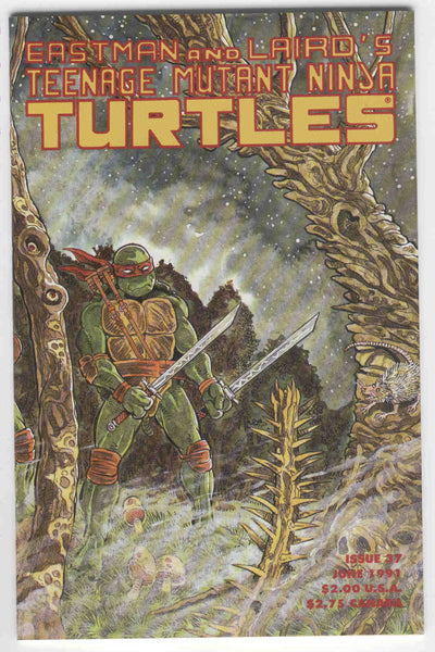 Teenage Mutant Ninja Turtles #37 Twilight Of The Ring Mirage Studios 1991 VFNM