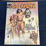 Savage Sword of Conan #164 Norem Art! VF