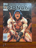 Savage Sword of Conan #159 Newsstand Variant FVF