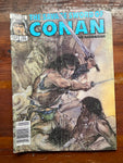 Savage Sword of Conan #133 Newsstand Variant VGFN