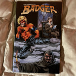 The Complete Badger Volume Four HTF IDW VFNM