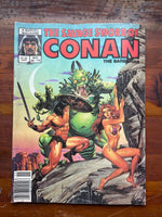 Savage Sword of Conan #118 Newsstand Variant FN