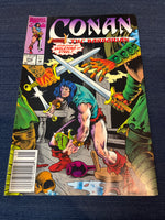 Conan the Barbarian #256 Newsstand Variant FVF