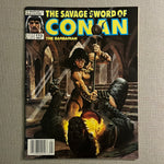 Savage Sword of Conan #173 Newsstand Variant FN