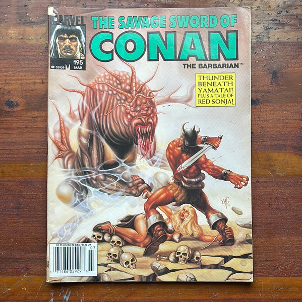 Savage Sword of Conan #195 Newsstand Variant VGFN