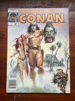 Savage Sword of Conan #164 Newsstand Variant Norem Art! FVF