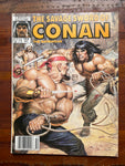 Savage Sword of Conan #153 Newsstand Variant Norem Art! FVF