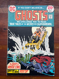 Ghosts #19 Bronze Age DC Horror! VGFN