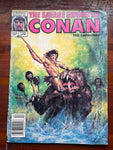 Savage Sword of Conan #135 Newsstand Variant VGFN