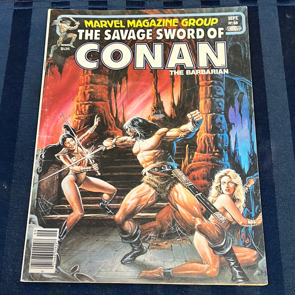 Savage Sword Of Conan #68 Newsstand Variant FN