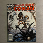 Savage Sword of Conan #161 Newsstand Variant FN