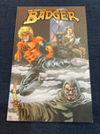 Complete Badger Trade Paperback Volume Four IDW VFNM