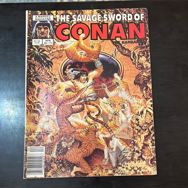 Savage Sword of Conan #111 Newsstand Variant FVF