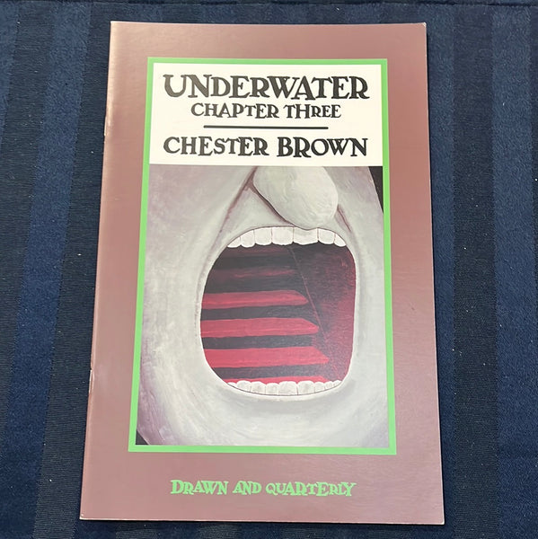 Underwater #3 Drawn and Quarterly Mature Readers! VFNM