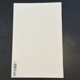 Amazing Spider-Man #17 (Legacy #818) Blank Sketch Cover NM