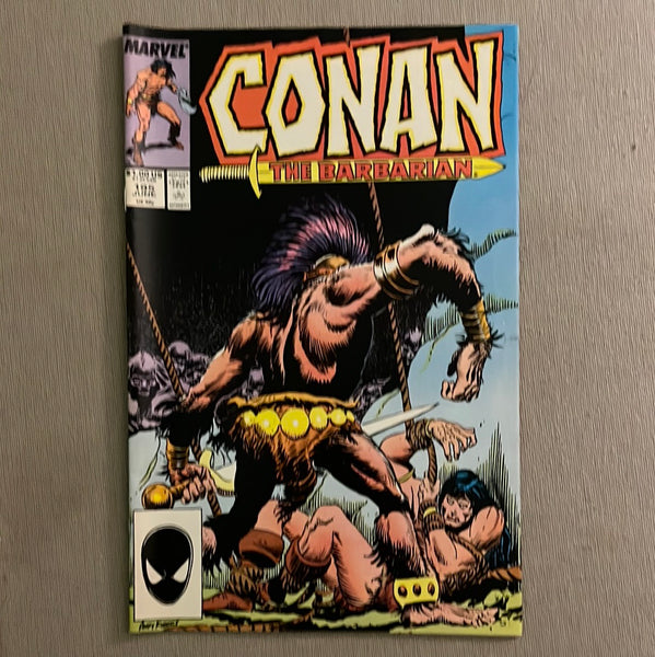 Conan The Barbarian #195 The Devourer of Souls!