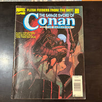 Savage Sword of Conan #223 Newsstand Variant FN