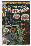 Amazing Spider-Man #175 The Punisher & The Hitman Bronze Age Key FN