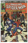 Amazing Spider-Man #202 The Punisher! News Stand Variant FVF