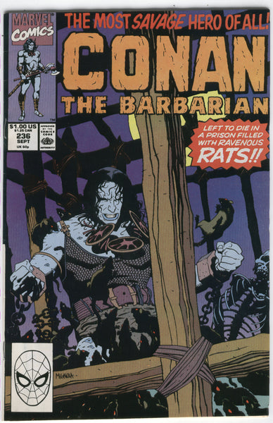 Conan The Barbarian #236 FVF