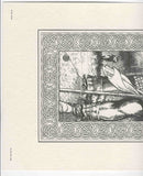 Barry Windsor Smith Conan 1978 Fantastic Islands Gorblimey Press Portfolio Plate #4 only