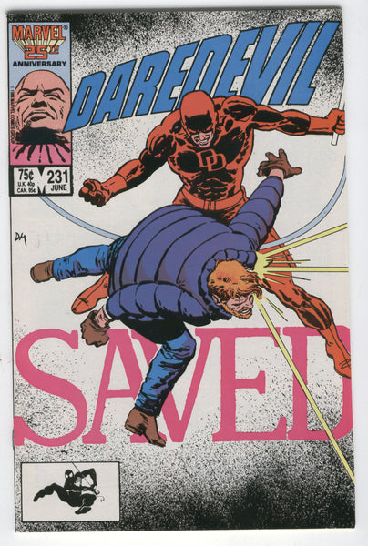 Daredevil #231 Born Again! Miller Mazzucchelli VFNM