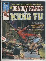 Deadly Hands of Kung Fu #2 Bruce Lee Bronze Age Key VF