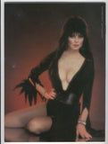 Marvel Spring Special #1 Magazine Featuring Elvira Mistress Of The Dark VF-