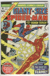 Giant-Size Spider-Man #6 The Web And The Flame Bronze Age Key FN