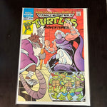 Teenage Mutant Ninja Turtles Adventures #4 Archie series fvf
