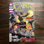 Catwoman #22 The Dust Bunnies Hit Town… NM -