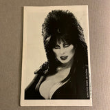 Elvira’s House Of Mystery #1 Giant Size Bolland Art HTF Newsstand Variant VF