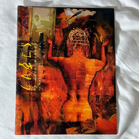 Cages #10 Dave McKean HTF Kitchen Sink FN