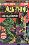 Man-Thing #21 "A Lunatic On Every Corner!" Bronze Age Horror VGFN
