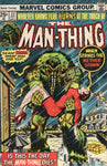 Man-Thing #22 "When Strikes The Nether-Spawn!" Bronze Age Horror VGFN