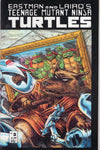 Teenage Mutant Ninja Turtles #3 Second Print (Normal Comic Size) VGFN