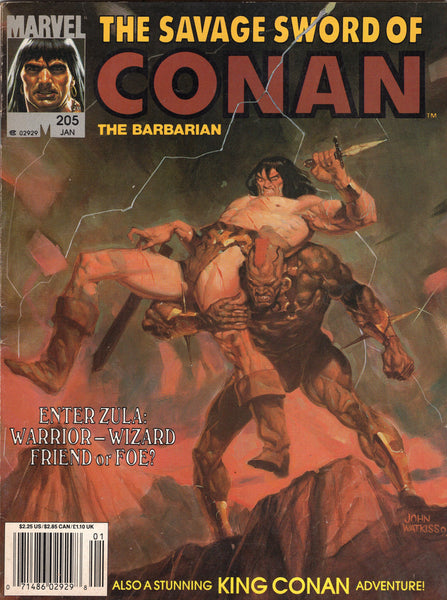 Savage Sword Of Conan #205 Enter Zula Warrior & Wizard! News Stand Variant VG