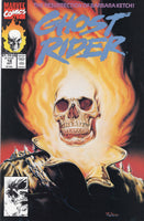 Ghost Rider #18 The Resurrection Of Barbara Ketch! Nelson Painted Cover VFNM