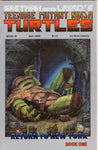 Teenage Mutant Ninja Turtles #19 HTF Mirage Studios FVF