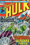 Incredible Hulk #160 Nightmare In Niagara Falls! Bronze Age Classic FVF