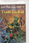 Teenage Mutant Ninja Turtles #33 Corben Cover Mirage VGFN