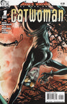 Bruce Wayne: The Road Home: Catwoman One-Shot NM-