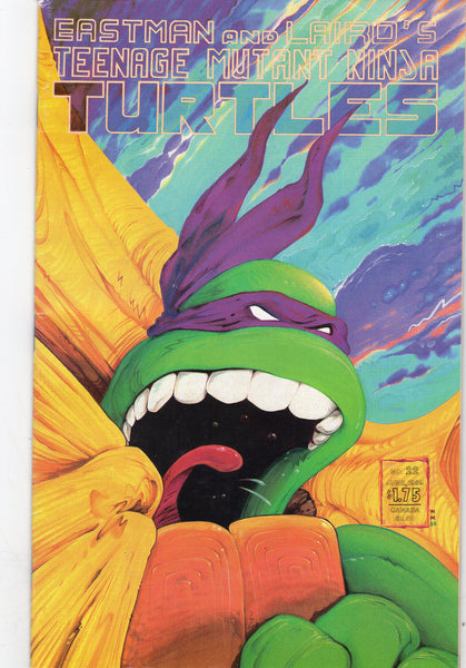 Teenage Mutant Ninja Turtles #22 Mirage Studios Black And White Issue FN