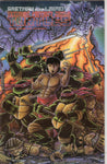 Teenage Mutant Ninja Turtles #18 The Shell Of The Dragon Mirage Studios Black And White FN