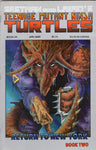 Teenage Mutant Ninja Turtles #20 FVF