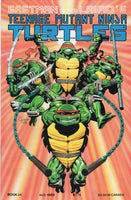 Teenage Mutant Ninja Turtles #24 FNVF