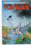 Teenage Mutant Ninja Turtles #27 VF