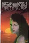 Teenage Mutant Ninja Turtles #28 VF