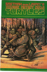 Teenage Mutant Ninja Turtles #31 VF